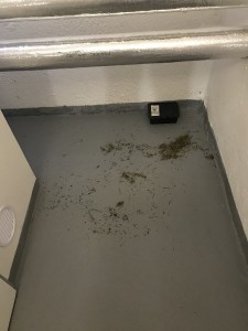 Nepořádek v levém sklepě Osv. 8